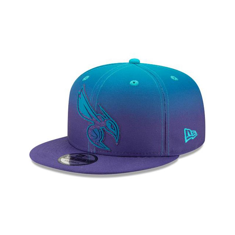 NBA Charlotte Hornets Back Half 9Fifty Snapback (FYS3279) - Blue New Era Caps